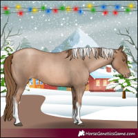 Horse Color:Liver Red Roan Pearl Tobiano Frame