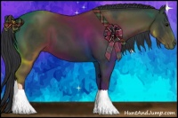 Horse Color:Black Tobiano 