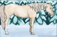 Horse Color:Gold Cream Champagne Pearl 