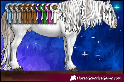 Horse Color:White Spotted Brown Pearl Sabino Rabicano