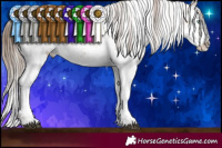 Horse Color:White Spotted Brown Pearl Sabino Rabicano 