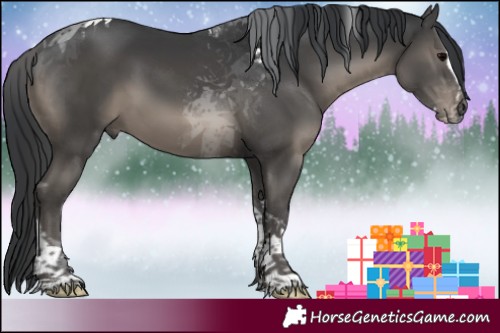 Horse Color:Black Splash Tobiano