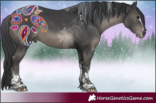 Horse Color:Black Splash Tobiano