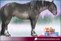 Horse Color:Black Splash Tobiano 