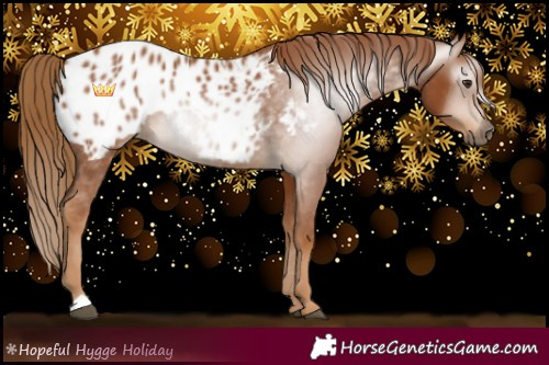 Horse Color:Gray Chestnut Near Leopard