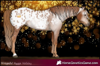 Horse Color:Gray Chestnut Near Leopard 