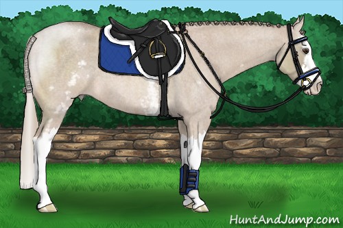 Horse Color:White Spotted Red Dun Roan Mushroom Splash