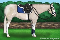 Horse Color:White Spotted Red Dun Roan Mushroom Splash 