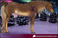 Horse Color:Chocolate Palomino 