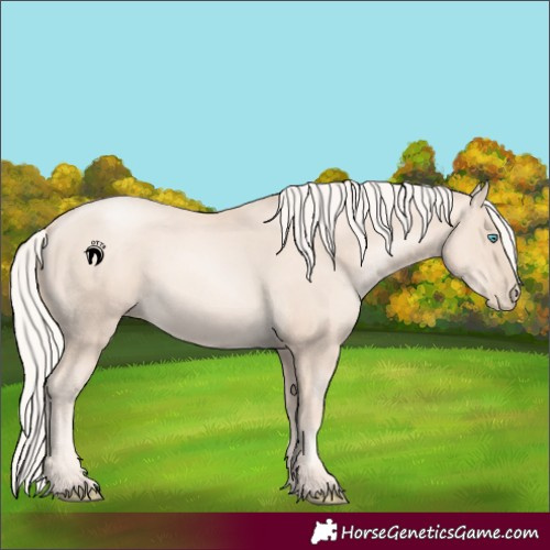 Horse Color:Gold Cream Champagne Pearl 