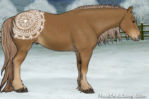Horse Color:Chocolate Palomino 