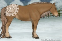 Horse Color:Chocolate Palomino 