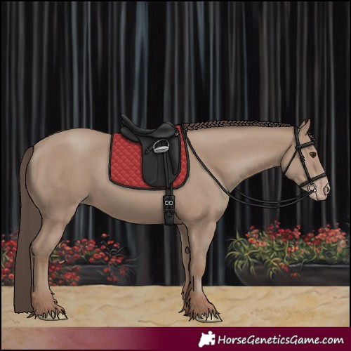 Horse Color:Classic Champagne 