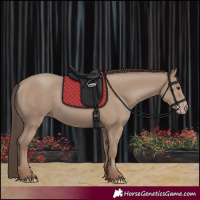 Horse Color:Classic Champagne 