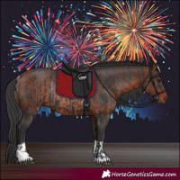 Horse Color:Black Rabicano and Brown Rabicano