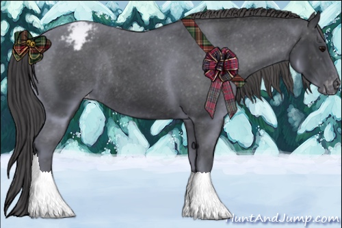 Horse Color:Black Appaloosa Rabicano 