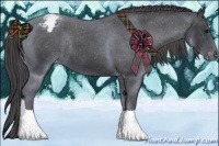 Horse Color:Black Appaloosa Rabicano 