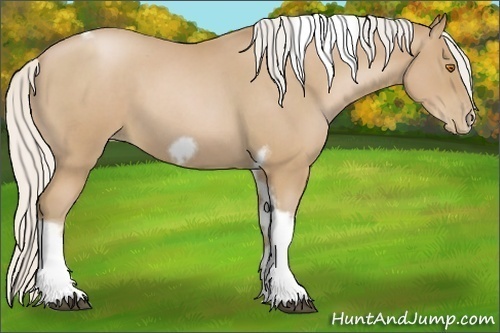 Horse Color:Silver Blue Roan Pearl Tobiano Frame