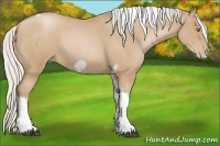 Horse Color:Silver Blue Roan Pearl Tobiano Frame 