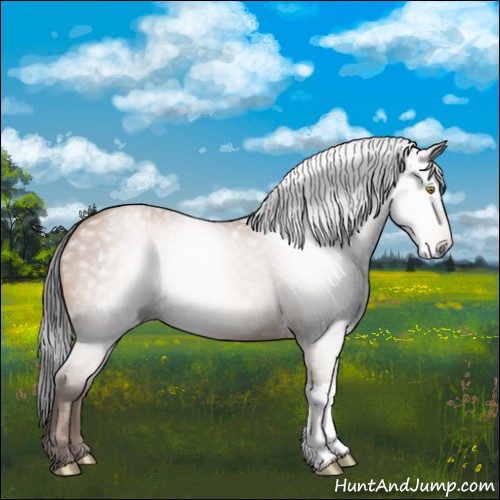 Horse Color:Gray Amber Champagne