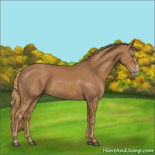 Horse Color:Chestnut Splash Frame 