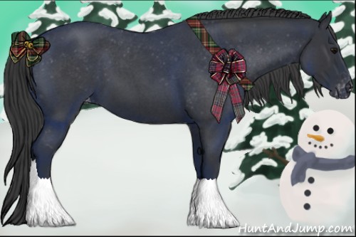 Horse Color:Blue Roan Appaloosa 