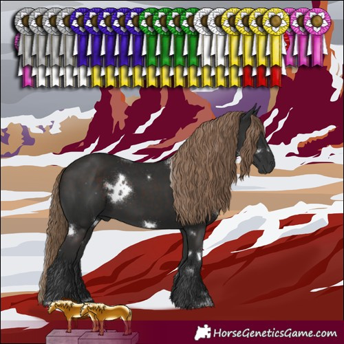 Horse Color:White Spotted Liver Chestnut