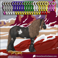 Horse Color:White Spotted Liver Chestnut 
