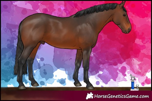 Horse Color:Brown 