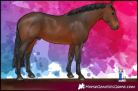 Horse Color:Brown 