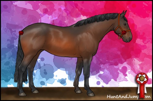 Horse Color:Brown 