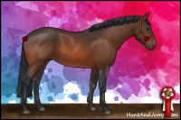 Horse Color:Brown 