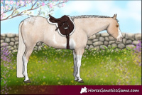 Horse Color:Silver Blue Roan Pearl Tobiano Frame 