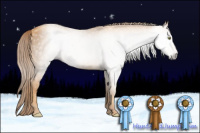 Horse Color:Gray Gold Champagne 