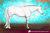 Horse Color:Gray Silver Amber Cream Champagne Roan Dun Splash Tobiano Frame Varnish Rabicano 