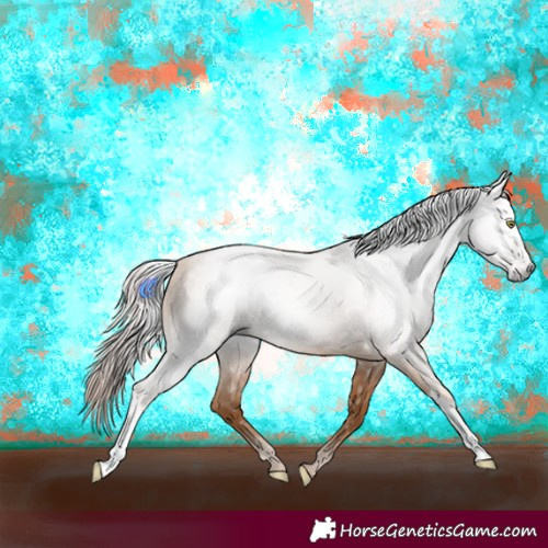 Horse Color:Gray Gold Champagne 