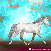 Horse Color:Gray Gold Champagne 