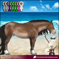 Horse Color:Gray Sable Champagne 