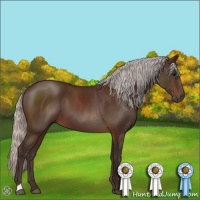 Horse Color:Silver Brown 