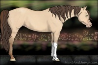 Horse Color:Amber Champagne Dun 