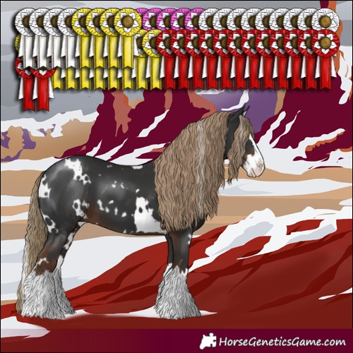 Horse Color:White Spotted Liver Chestnut Splash 