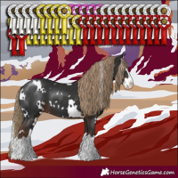 Horse Color:White Spotted Liver Chestnut Splash