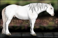 Horse Color:White Spotted Silver Bay Ice Dun 