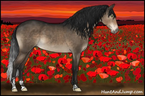 Horse Color:Gray Brown Dun Mushroom Sabino Appaloosa Brindle 