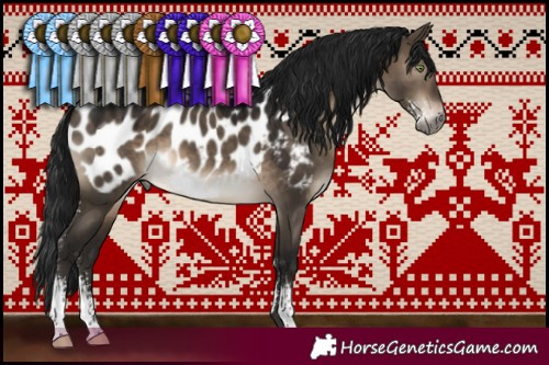 Horse Color:Gray Brown Dun Mushroom Sabino Near Leopard