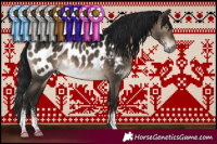 Horse Color:Gray Brown Dun Mushroom Sabino Near Leopard 