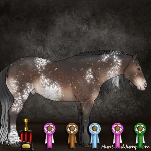 Horse Color:White Spotted Brown Snowflake Varnish