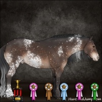 Horse Color:White Spotted Brown Snowflake Varnish 