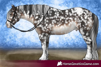 Horse Color:White Spotted Brown Snowflake Varnish