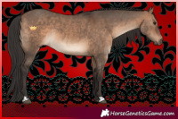 Horse Color:Brown Dun 